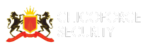 Chicoforce Security